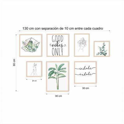 SET DE 7 CUADROS BOTANICA II CHICOS